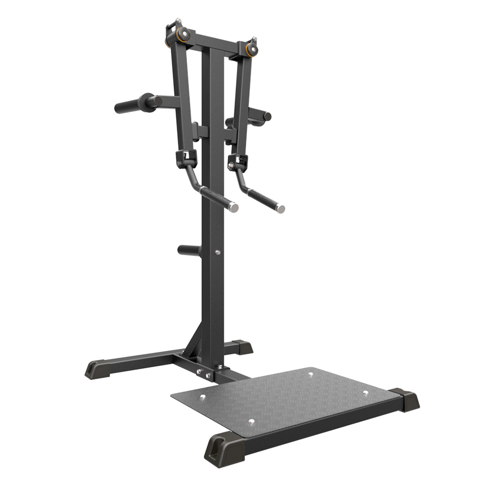IFP1103 STANDING LATERAL RAISE 1 STANDING LATERAL RAISE IFP1103 IMPULSE OFERTA - Imagen 1